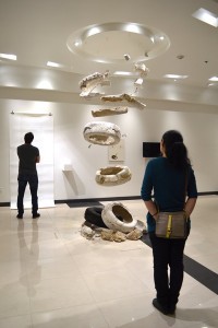 Biomythography exhibit