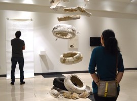 Biomythography exhibit