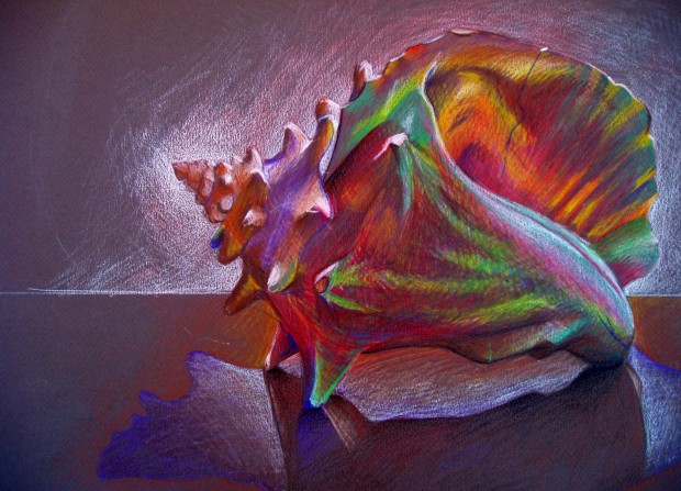 Bri Mercier_Seashell_Color pencil_ 20- x 18-